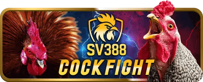 Đá Gà Trực Tiếp ok365vip